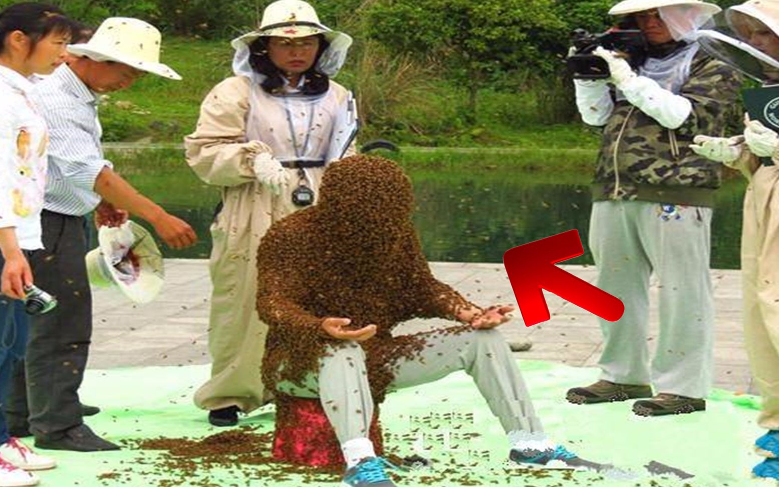 不可思议！新星打破世界纪录