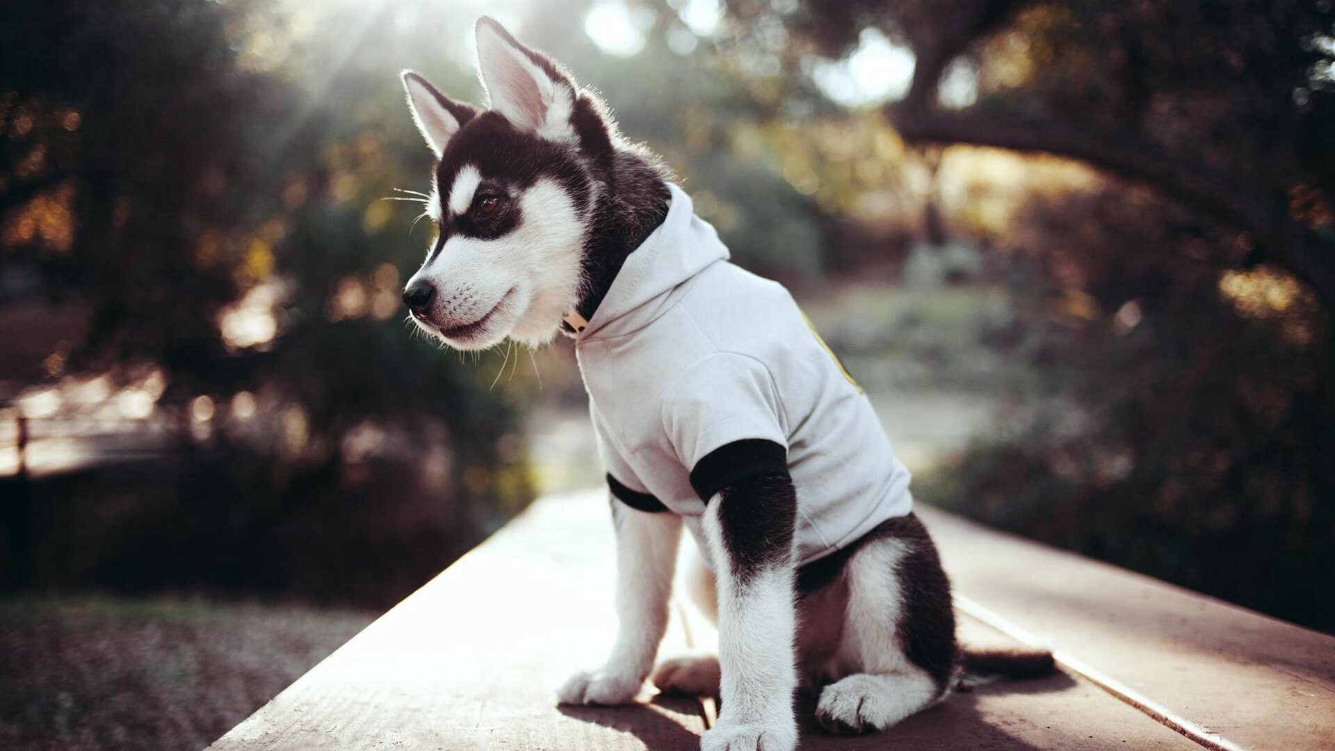 _青少年极限冲浪:海浪中的青春印记_,冲浪极限运动