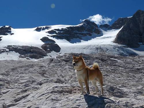 “意甲赛场再爆精彩瞬间,逆转戏码不断”,意甲赛制介绍