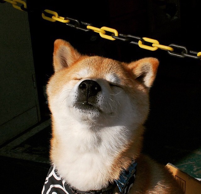 世界上最奇怪的足球比赛和规则揭秘，世界上最奇葩的足球进球