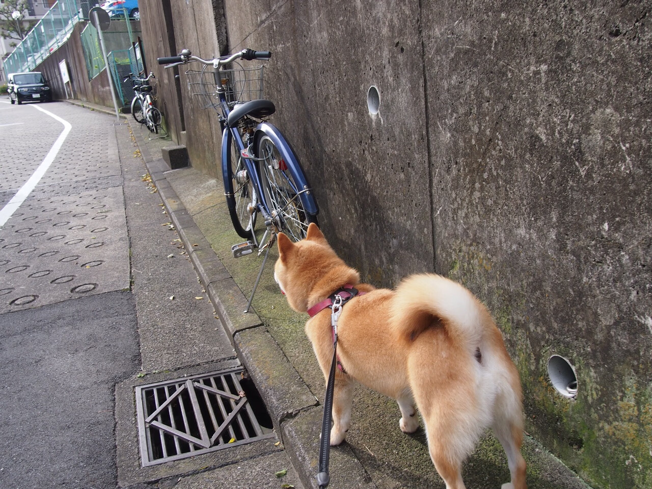 全国青少年“篮球启蒙月”活动在全国范围内持续火热，普及运动文化