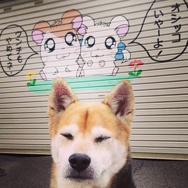 史上最大“黑马逆袭”：从无名小卒到世界冠军，最大的黑马