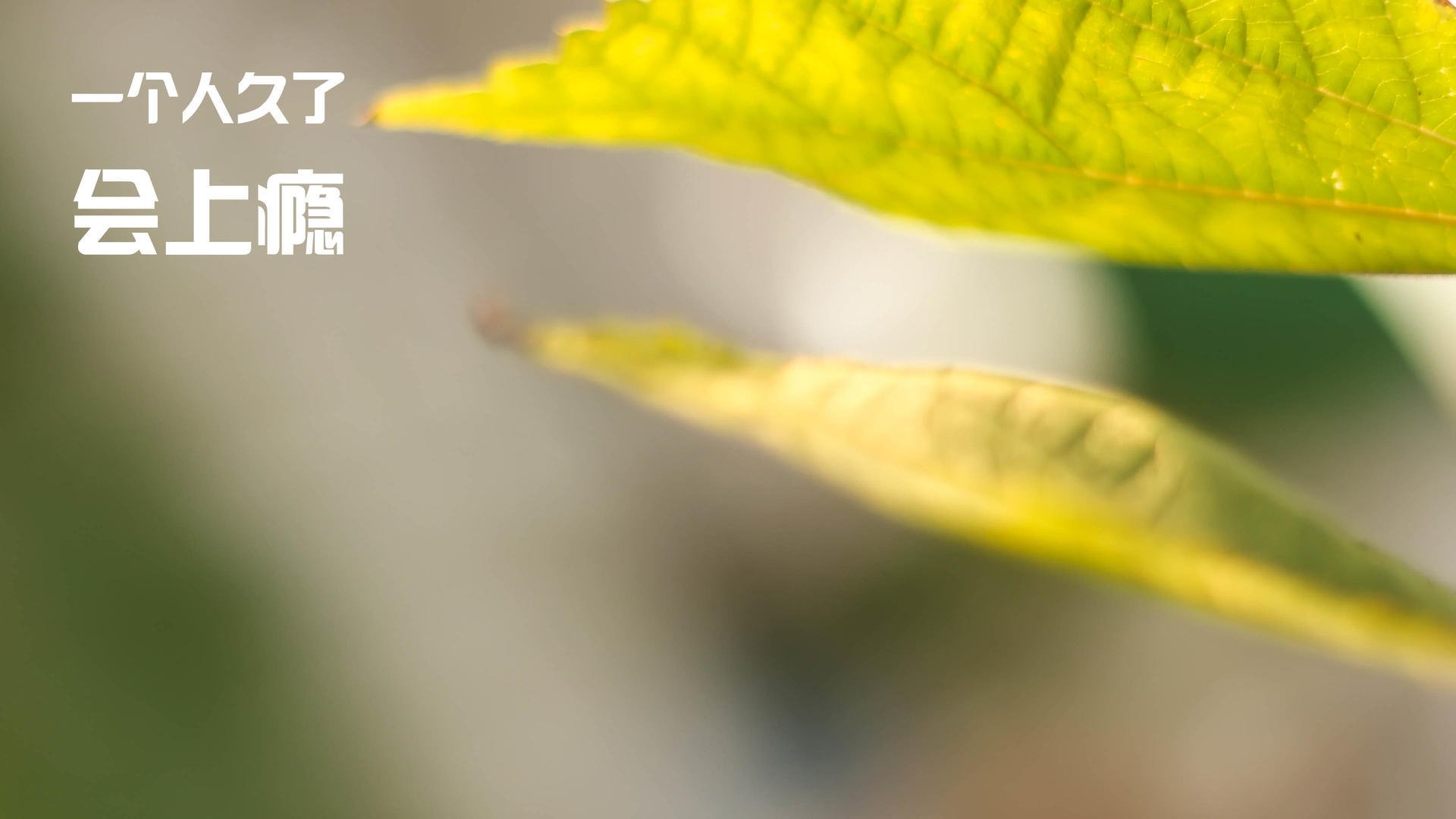 全球电竞粉丝聚会活动预告，2021全球电竞峰会在哪里开