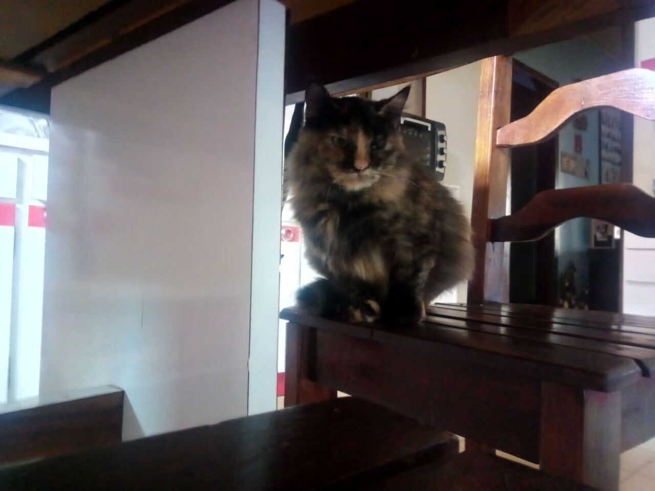 九游网-勒沃库森主场2-1战胜美因茨，继续领跑德甲，勒沃库森二队