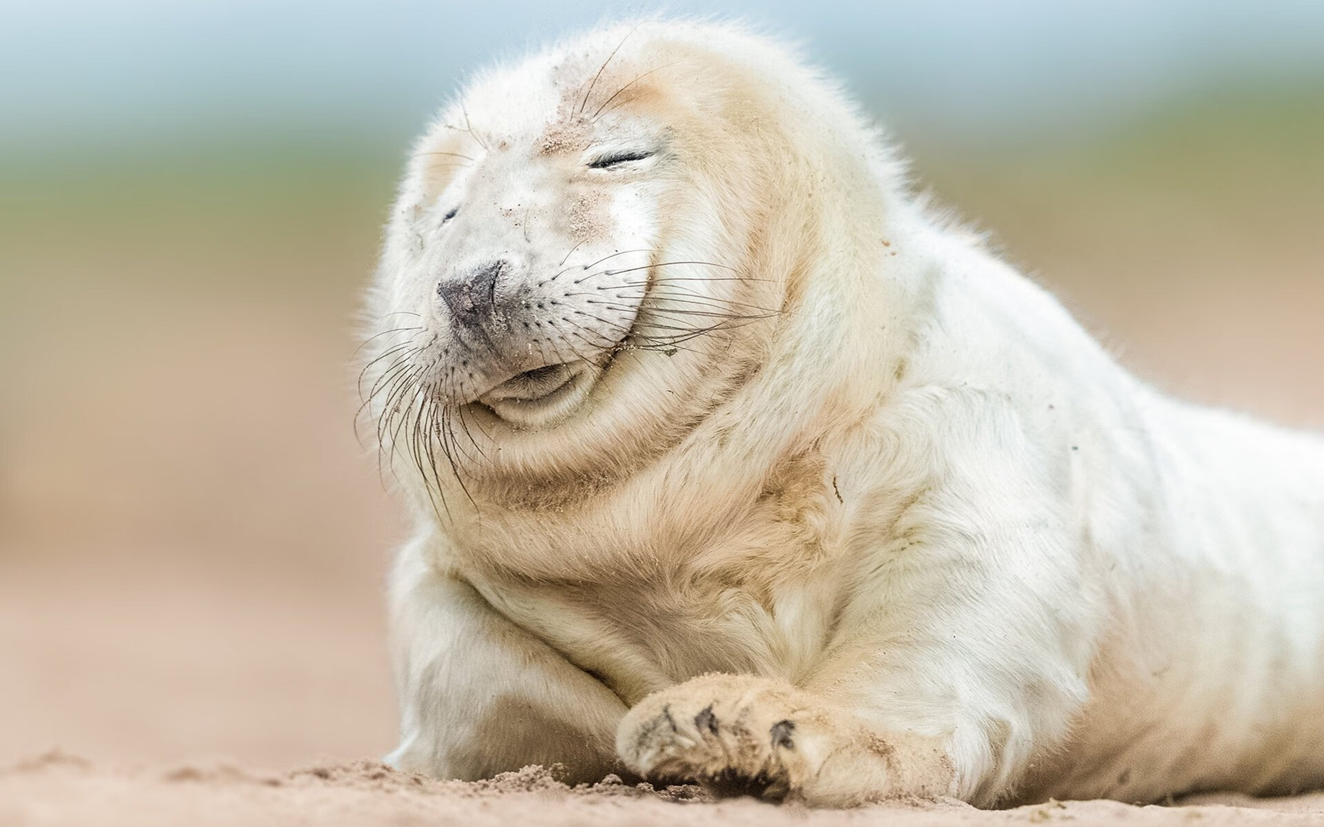 拜仁慕尼黑主场4-1大胜斯图加特，进攻火力全开，拜仁慕尼黑vs斯图加特视频直播