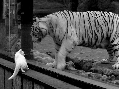 欧洲足坛风云再起，谁将占据上风？，欧洲足坛风云再起,谁将占据上风之地
