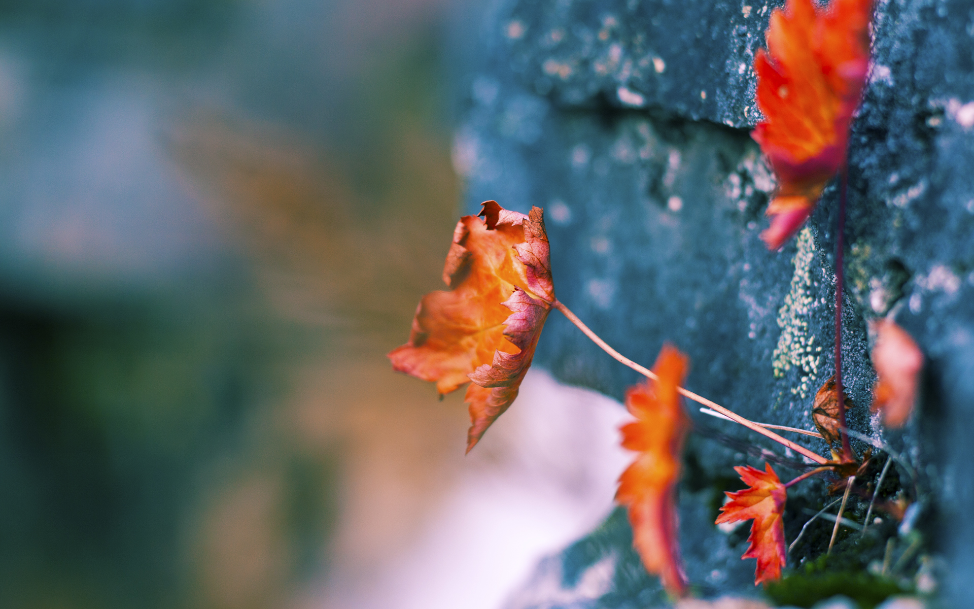 九游app下载中心-联盟层面支持更多NBA球队进军电竞，nba联盟组织