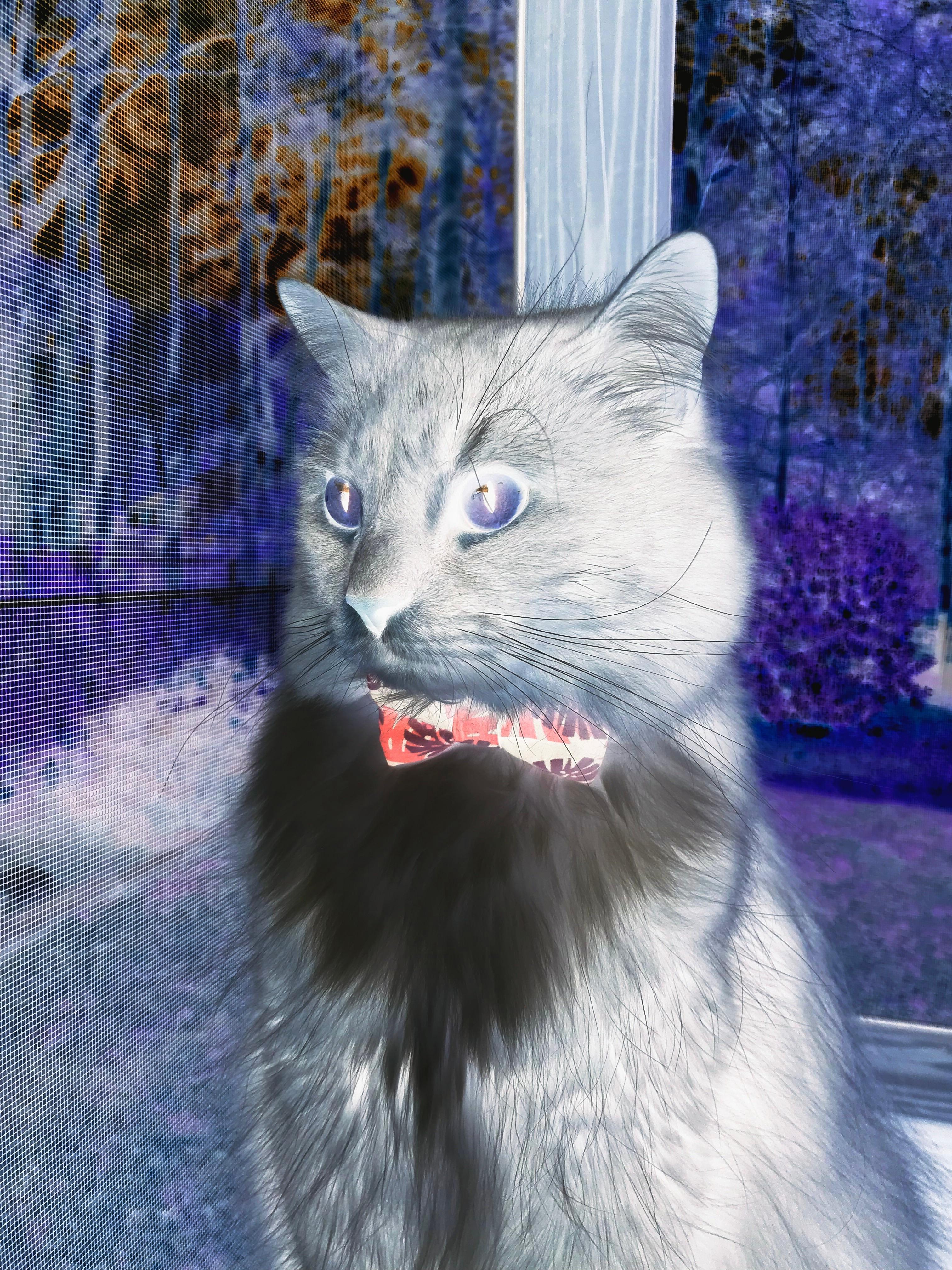 九游娱乐官网 (jiuyou)-联盟是否会迎来下一个王朝时代，现在的联盟