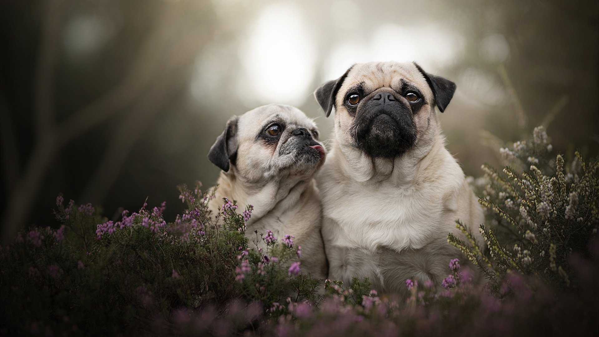 职业联赛技术统计体系未完全统一