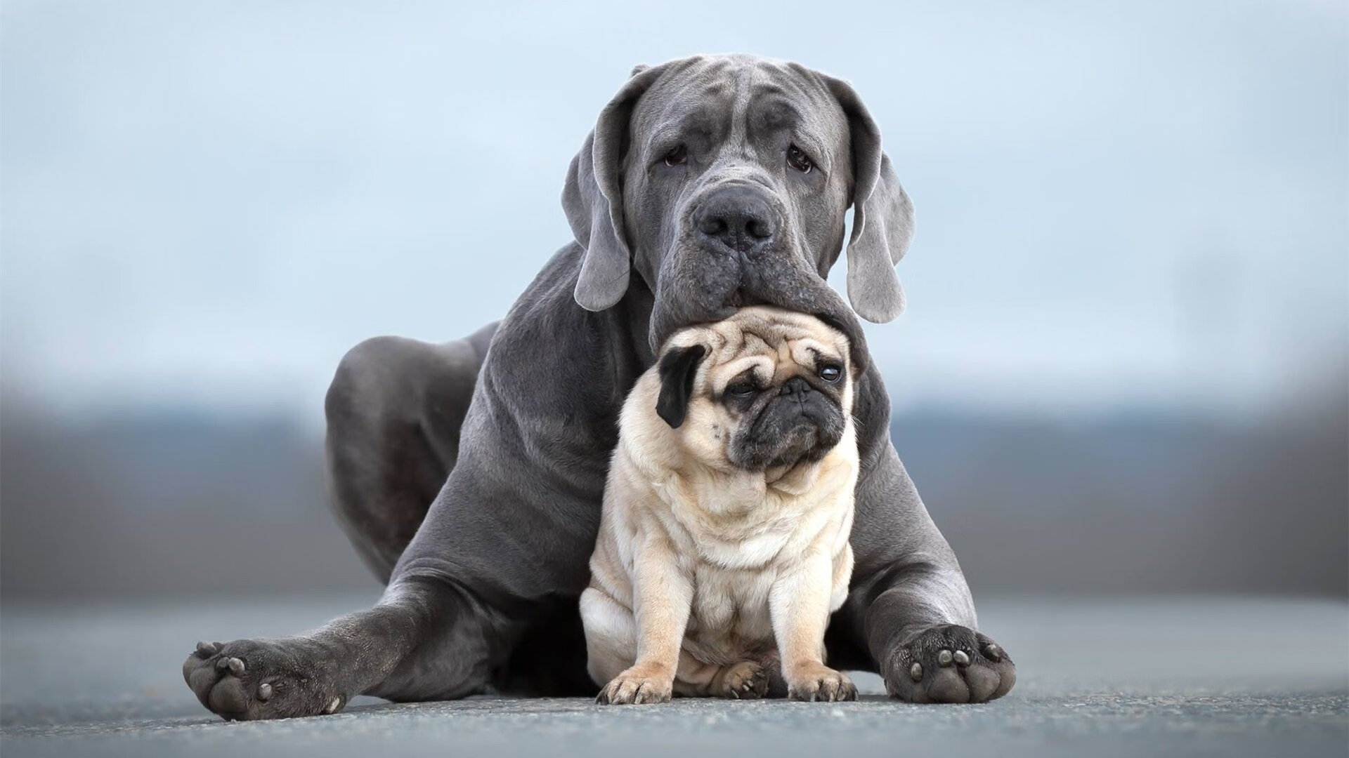 瑞·弗兰:在场上,他的跑位和防守意识为全黑队创造了无数机会